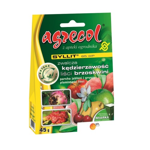 Syllit 65WP 45g