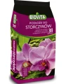 Podłoże do storczyków i epifitów Biovita 3 l