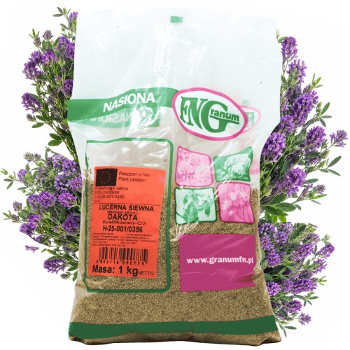 Lucerna siewna Granum Dakota 1 kg
