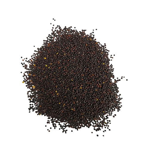 Rzepik paszowy 1 kg