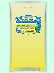 Hortensja niebieska 1kg