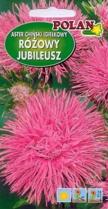 POLAN Aster igiełkowy Jubileusz j. różowy 1,2 g