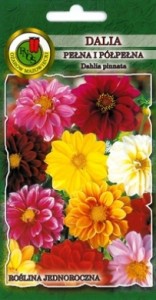 PNOS Dalia karłowa pełna i półpełna mieszana 1g