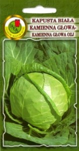 PNOS Kapusta głowiasta biała Kamienna Głowa OZJ 2g