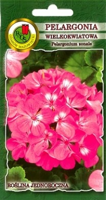 PNOS Pelargonia rabatowa F1 różowa 10z