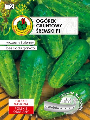 PNOS Ogórek Śremski F1 na taśmie 6m