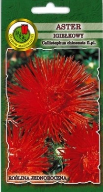 PNOS Aster igiełkowy czerwony Ognisty Ptak 0,8g