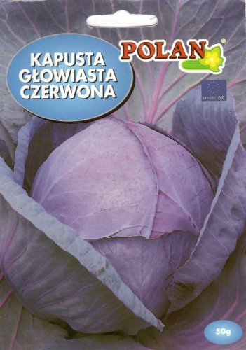 POLAN Kapusta Głowiasta Czerwona Rufus 2g