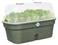 ELHO GROW TRAY L ZIELONA ALL-IN-1