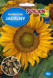 POLAN Słonecznik jadalny 20g
