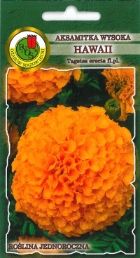 PNOS Aksamitka Hawaii pomarańczowa 1g