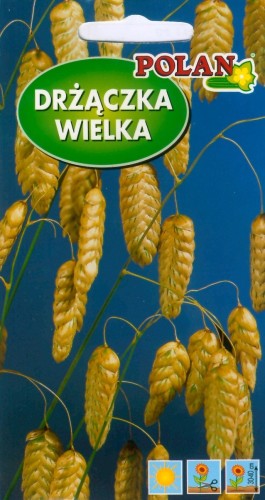 POLAN Drżączka Trawa Ozdobna 1g