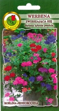 PNOS Werbena zwisająca mieszanka 0,2g