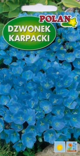POLAN Dzwonek karpacki niebieski 0,5g