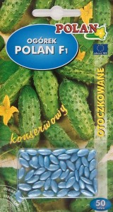 POLAN Ogórek gruntowy Polan F1 nasiona otoczkowane 50 szt.