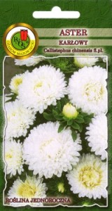 PNOS Aster karłowy biały 0,8g