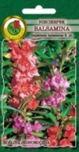 PNOS Niecierpek balsamina mieszanka 1g