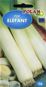 POLAN Por Elefant śr. późny 1g