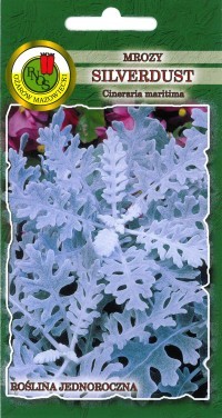 PNOS Mrozy, Starzec Silverdust 0,2g