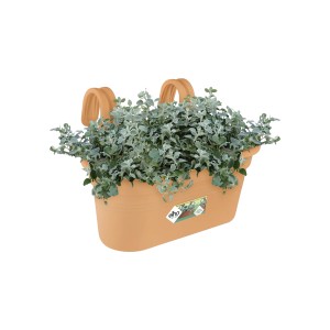 ELHO GREEN BASICS WISZĄCA OSŁONKA BRĄZOWA L