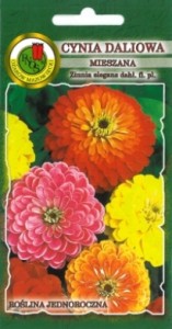 PNOS Cynia daliowa mieszana 1g