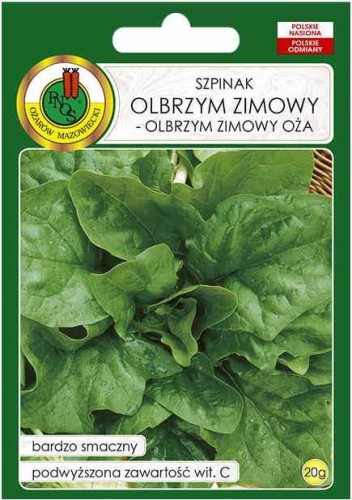 PNOS Szpinak Olbrzym zimowy - olbrzym zimowy Oża 20g