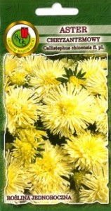 PNOS Aster chryzantemowy żółty 0,8 g