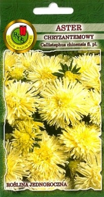 PNOS Aster chryzantemowy żółty 0,8 g