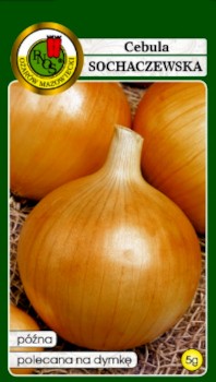 PNOS Cebula późna Sochaczewska 500g