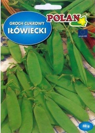 POLAN Groch Iłówiecki cukrowy 50g