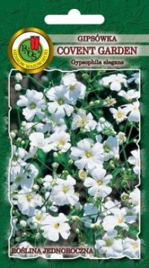 PNOS Gipsówka letnia Covent Garden biała 2g