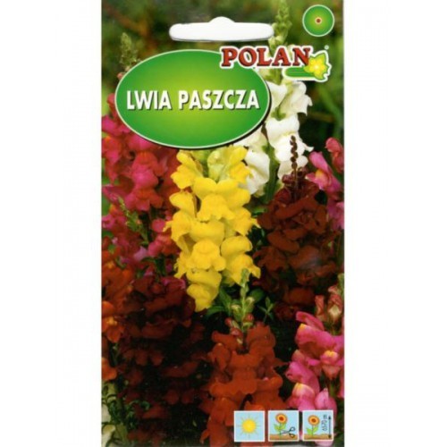 POLAN Lwia paszcza wysoka mieszanka 0,5g