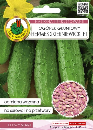PNOS Ogórek Gruntowy Hermes Skierniewicki F1 nasiona inkrustowane 5g