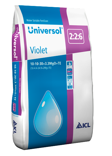 ICL Universol Violet fioletowy 10-10-31 25 kg