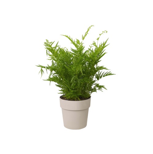 ELHO B.FOR ORIGINAL OKRĄGŁA OSŁONKA 14CM SZARA