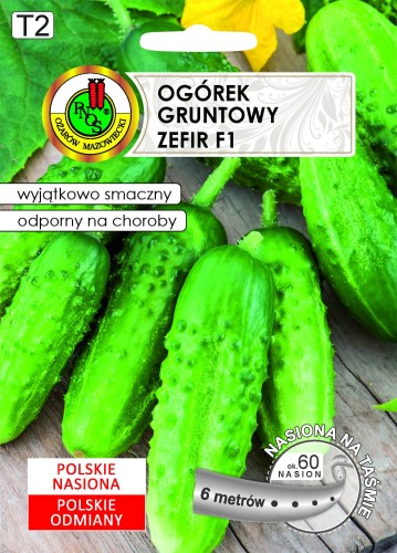 PNOS Ogórek Gruntowy Zefir F1 na taśmie 6m