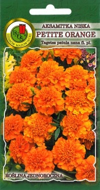 PNOS Aksamitka pełna niska Petite Orange pomarańczowa 1g