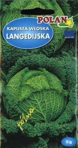 POLAN Kapusta włoska Langedijker Dauerwirsing 2g