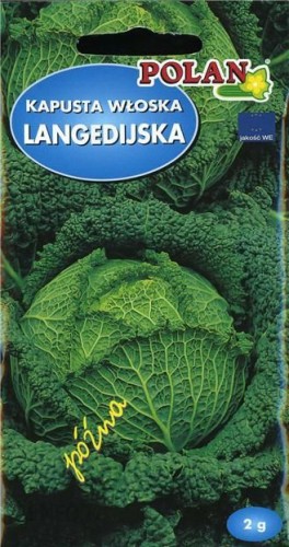 POLAN Kapusta włoska Langedijker Dauerwirsing 2g
