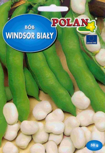 POLAN Bób Windsor Biały GDE 50g