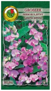 PNOS Groszek szerokolistny mieszanka 2 g