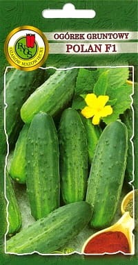 PNOS Ogórek Polan F1 5g