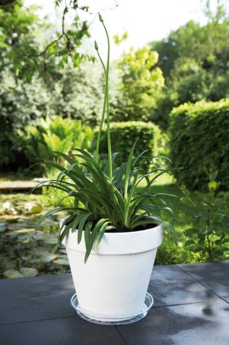 ELHO UNIWERSALNA PODSTAWKA PRZEZROCZYSTA 42CM 