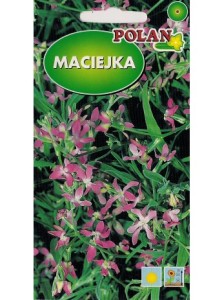 POLAN Maciejka 5g