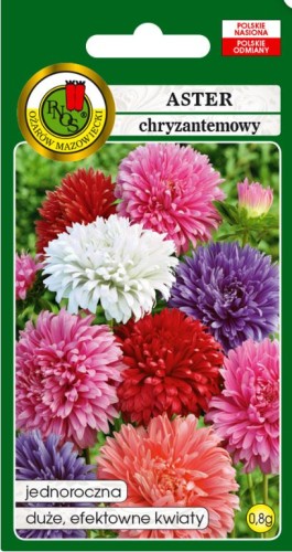 PNOS Aster chryzantemowy mieszany 0,8g