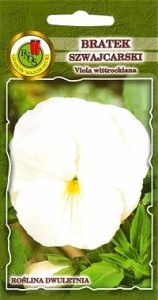 PNOS Bratek szwajcarski Firnenschnee kremowobiały 0,8