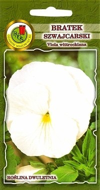 PNOS Bratek szwajcarski Firnenschnee kremowobiały 0,8