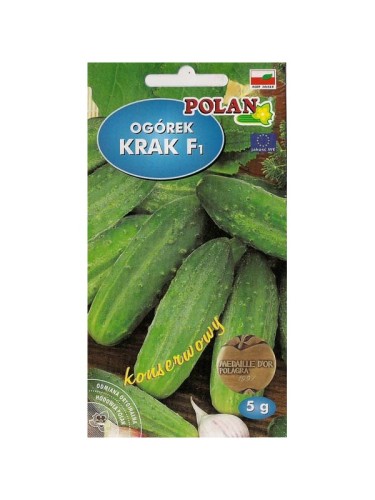 POLAN Ogórek gruntowy Krak F1 5g