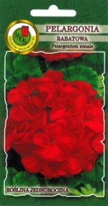 PNOS Pelargonia rabatowa czerwona 10n