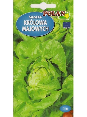 POLAN Sałata masłowa Królowa Majowych TOR 1g